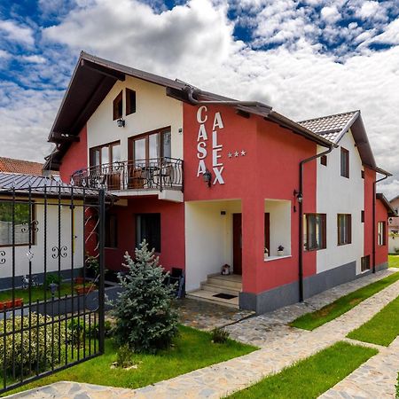 Casa Alex Calimanesti Hotel Eksteriør billede